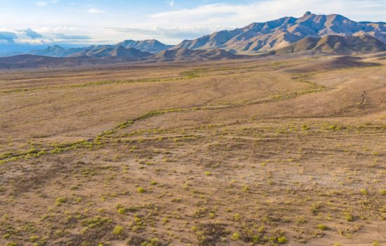 10 Acres of Desert Serenity near Willcox, AZ