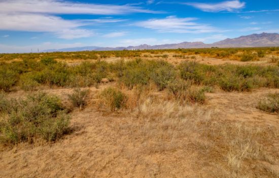 20 Acres Near Willcox – Great Price!