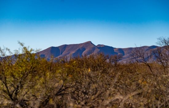 20 Acres Near McNeal, AZ
