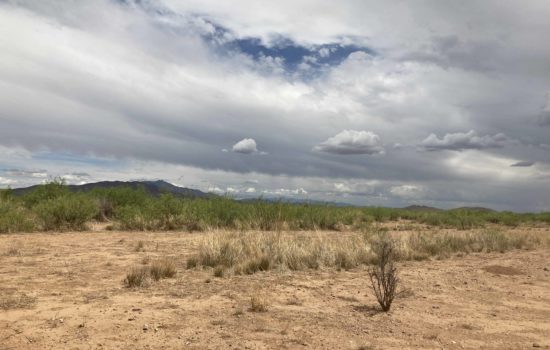 Secluded 1 Acre Lot in Wilcox Arizona!