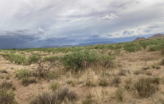 15 Acres with Mountain Views – Near Willcox, AZ
