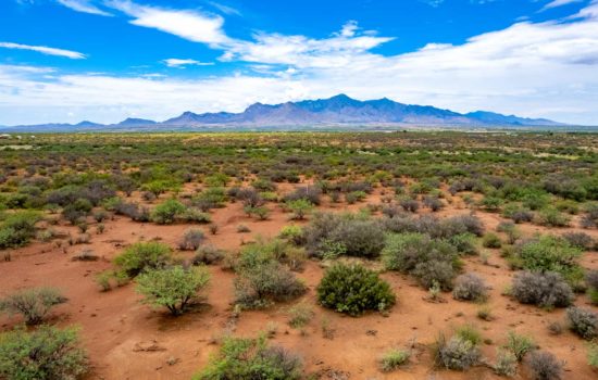 40 Acres near Sierra Vista